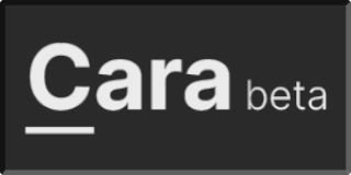 Cara Link Banner